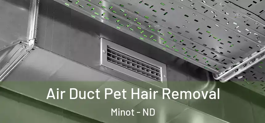  Air Duct Pet Hair Removal Minot - ND