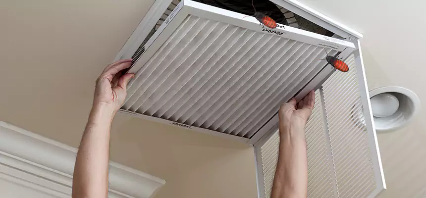 Preventive Cockroach-Proofing for Ducts in Minot