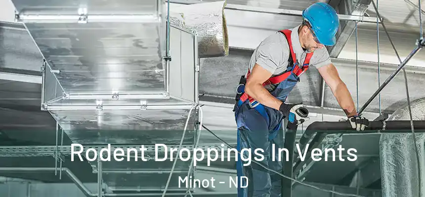  Rodent Droppings In Vents Minot - ND