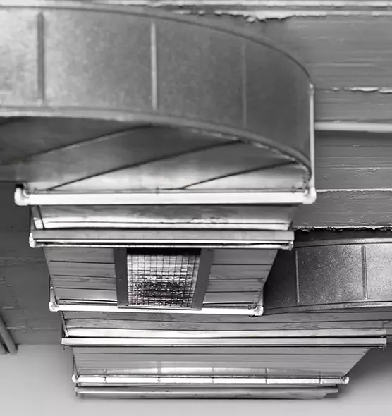 Professional Air Duct Pest Removal in Minot, ND