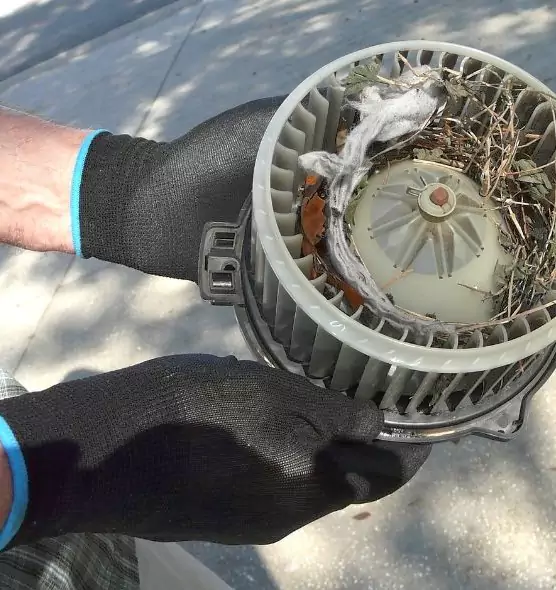 About Air Duct Rat Removal in Minot, ND