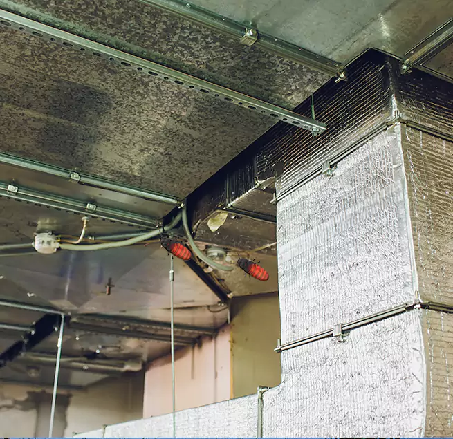 Why Homeowners & Businesses Trust Us in Minot, ND?