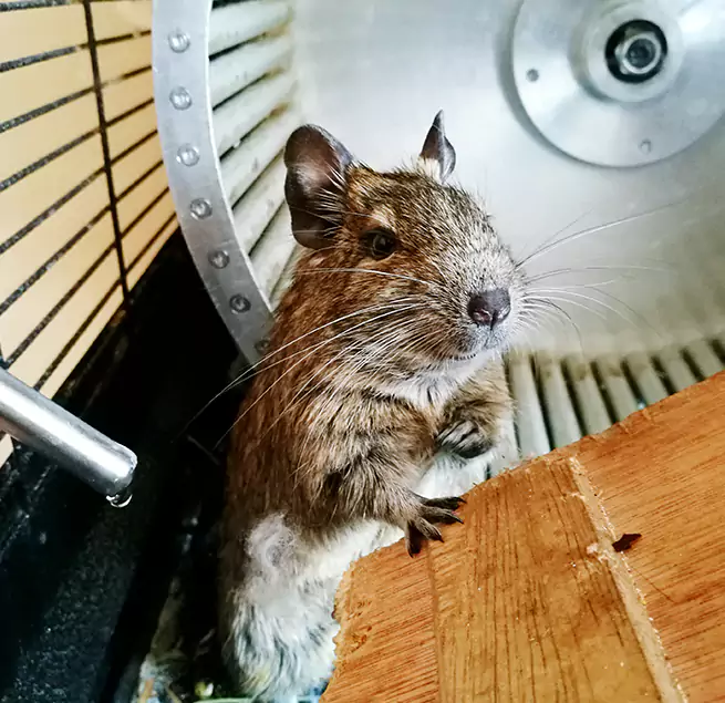 Why Homeowners & Businesses Trust Us Minot, ND